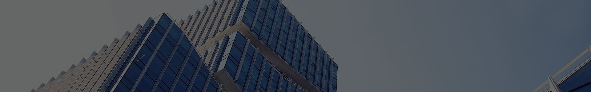 Jiaxing Xuanyi Comércio Internacional Co., Ltd