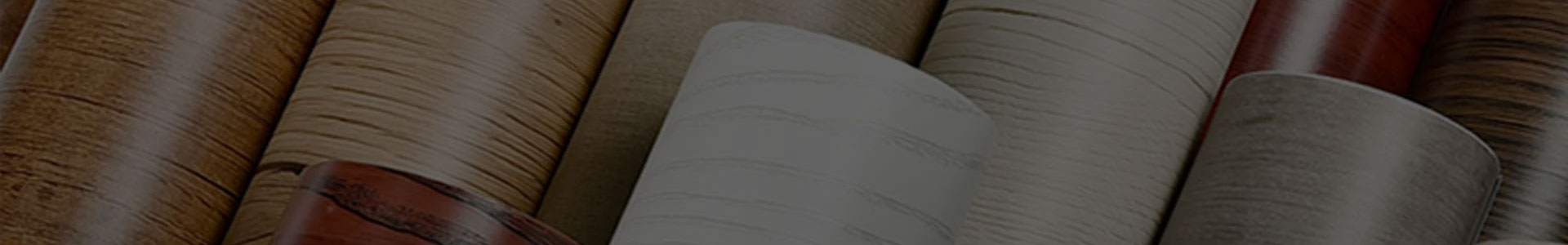 Jiaxing Xuanyi Comércio Internacional Co., Ltd