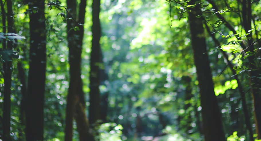 Jiaxing Xuanyi Comércio Internacional Co., Ltd